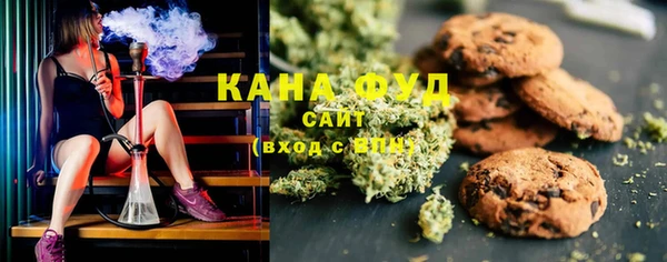 молекула духа Снежногорск